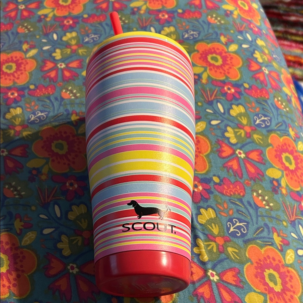 Scout Multicolor Striped Tumbler with Straw